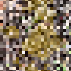 2850415134272365380187775685678842410458265265709128331682257550256235347969