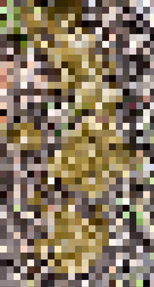 Item #2850415134272365380187775685678842410458265265709128331682257550256235347969 Media