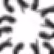 75337489964486720162025728583600064603286027733611774240812882900890444365825
