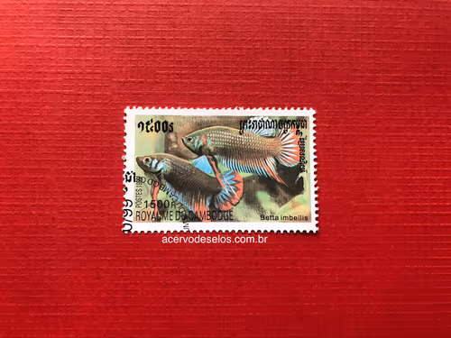 Item #20597586626667959385800891861414849022288511145256085744500515437424691642369 Media