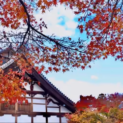 Old streets of Japan 2