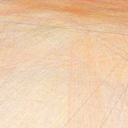 Linearized Flow Fields 11