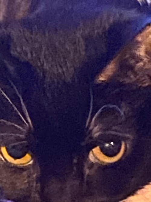 Item #903254528074479914069405507044835417871862693648772089093593289266437292033 Media