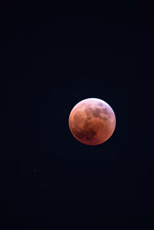 Item #108911492996146874115956011896780761878527851196280444702557873480883526172673 Media