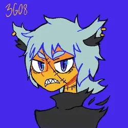 3GO8 #5