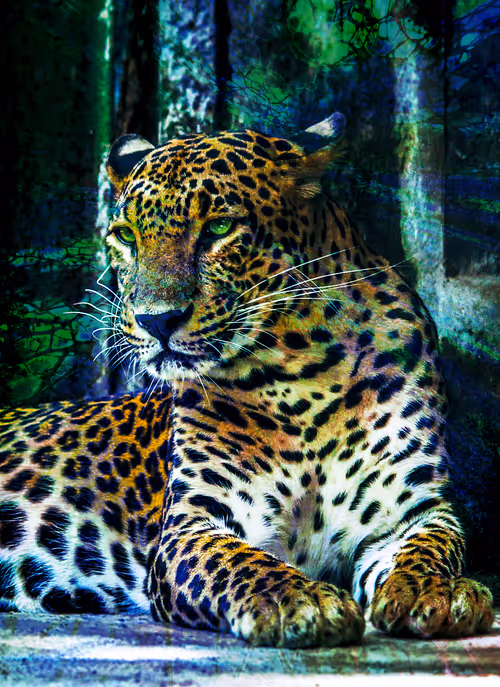 Item #112706814490930413132795555787302569515543672113453404084317514521679514042369 Media