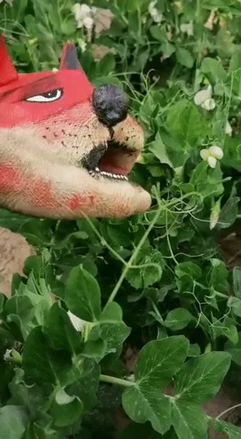 Item #98297886293652092657371597788592247398680073041274723207675994542499772235777 Media