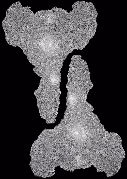 Item #48216677678887992956199146050101977369740452437452834237877791398117446254593 Media