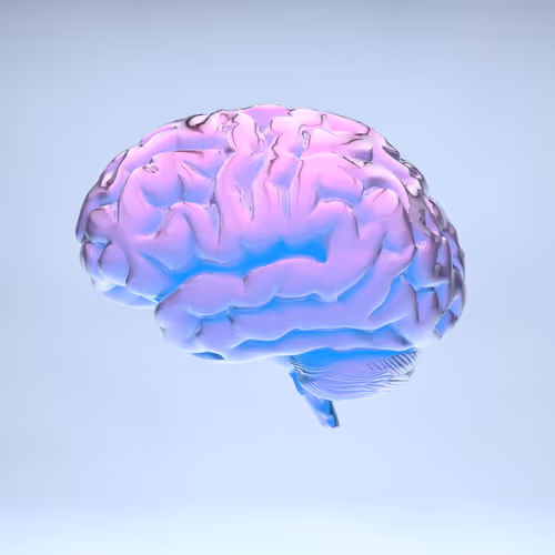 Item #77412820926303725204956055566925211190020908428863033075197849106071328653313 Media