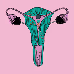 28824502245252267217549902857601847351510039266873569823091148464694109405185