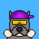 78578714129531923150377203294534447625371507575610643141084203823555023994881