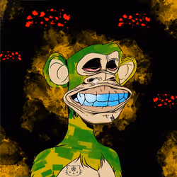 16370855466498134000894249091495196812857275946502834033393438601984616693761