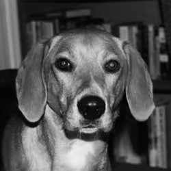 Winnie