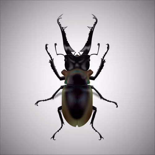 Item #15006194083360452165747859706250248338064014496976576965207408050294480699393 Media