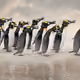76244674795492013436553118331706818325007506381998394247397789183250345754625