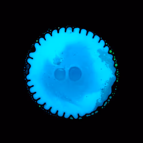 Item #39853347361311550538823328626004824816221754573894422864413753414353040703489 Media