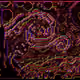 28480061449616952339999001829582514056965285005595834933663473401165818888193