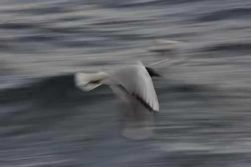 Item #54268015145005248516151341850512729769282533585690681319849110689040759259137 Media