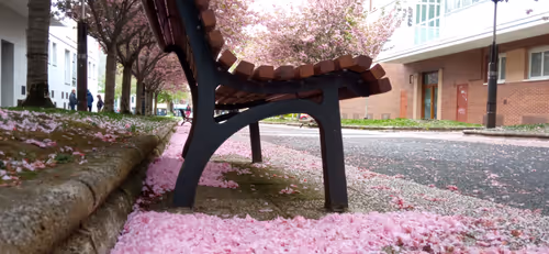 Item #61597770501633459984070574793612251696740595435378166716167773687666758909953 Media