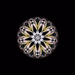 26185187814367725376940026929040218982398144969044494291860281439091423182849