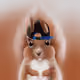 89766627442162461147413825539471470087360207453258718898720638649326121254913
