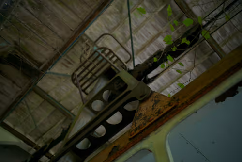 Item #29338470736162432658503928351875651882775793096611779186830202192538583957505 Media