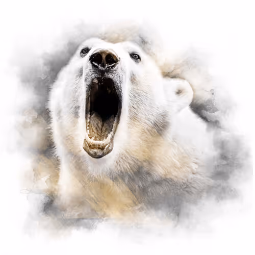 Item #59088353916634911645199901135540098457890710800918991321684793739309905608733 Media