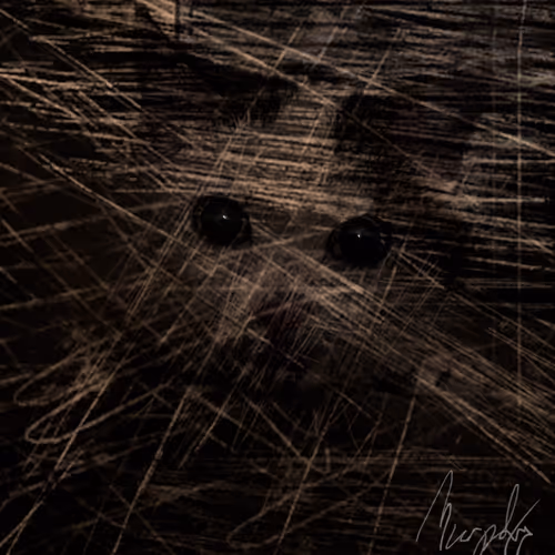 RMG Collection - old