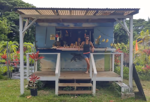 Item #41013704286635162959004487776095067176603519769359421915548602706505481846785 Media