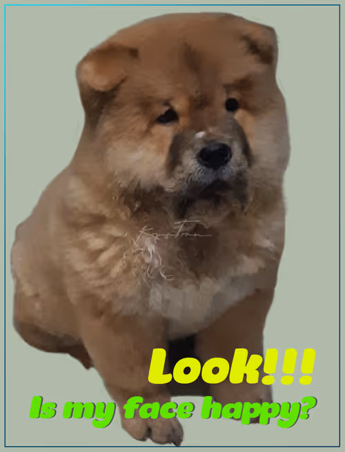 Item #103606411814514267144441239329390381368364317226309774540220525441571283271681 Media