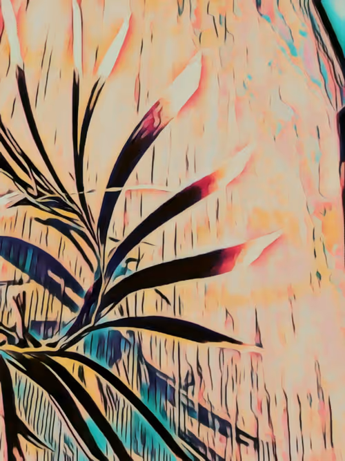 Item #33489201772139454524030938762040669258263543807464770779456338519464834236426 Media