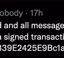 Tweet #31