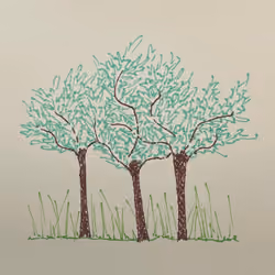 Tree #7
