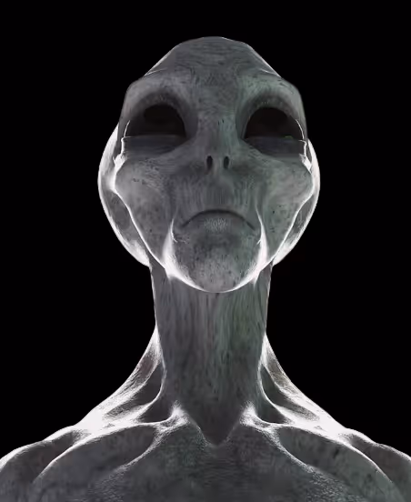 Item #97107590523923761146299885224419256175613868444109951227489717470584452939777 Media