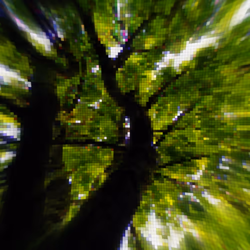 Item #73412372274297784710279054145181842019162569346562246022835392859358751621121 Media