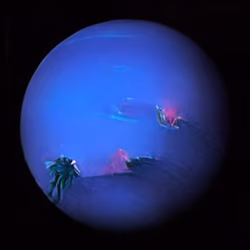 Neptune