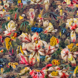 Exotic Flowers no.1