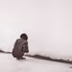 87649597800232579111583431527378218378027296697732453427087342876354286714881