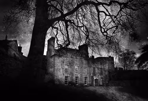 Item #40160686583094733528677484039903516258611509642019211679321071469364816904193 Media