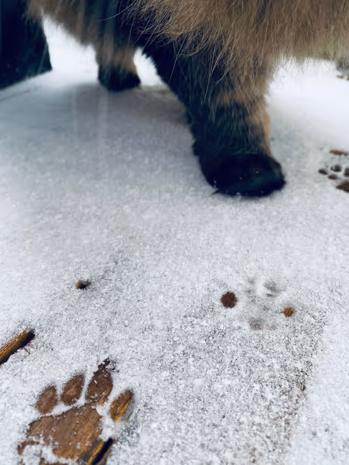 Item #75972328409469514772646289726954900899318190028291261257174364206989844676609 Media