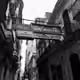 92693987355405799269132530151512592926882207379877673652336226758757730746369