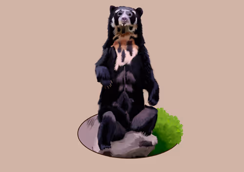 Item #76635623021787309812694420302215559780478835014345692098871688031808797016065 Media