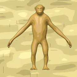 Chimpanzae #12