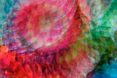 Item #31654410280115823025506001687003673065121824444213070757845373060683736809473 Media