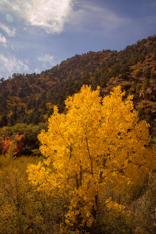 Item #9120212916765116150568675881713414537423652719211967924258503628696821170177 Media