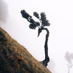 Fogged up World #14