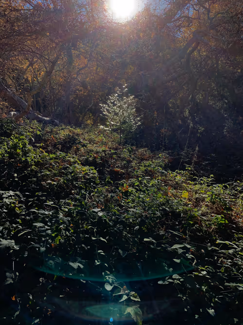 Item #9120212916765116150568675881713414537423652719211967924258503626497797914625 Media