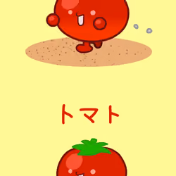 Fresh Tomato