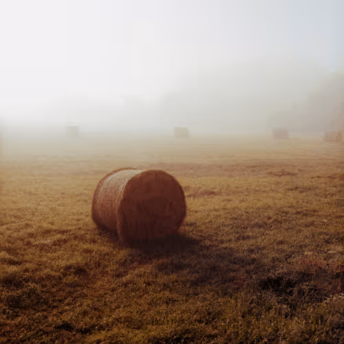 Countryside nostalgia