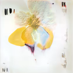 109365775537404355680634152841642333203956319687792449584351110056427055480833